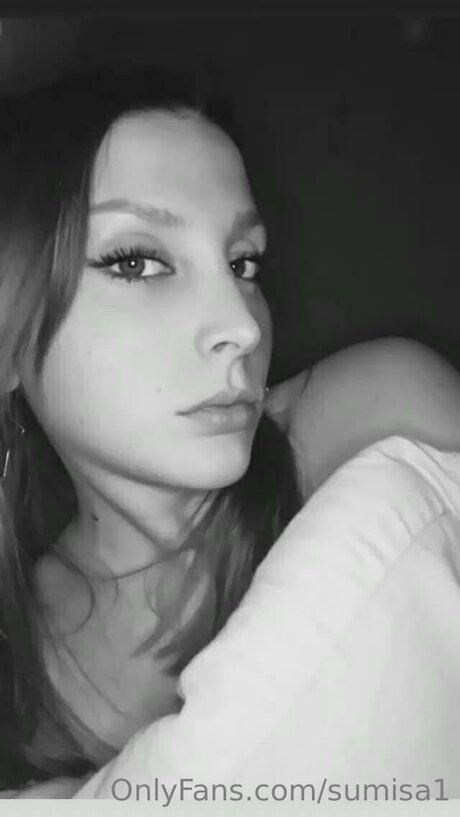 Sumisa1 model best archive