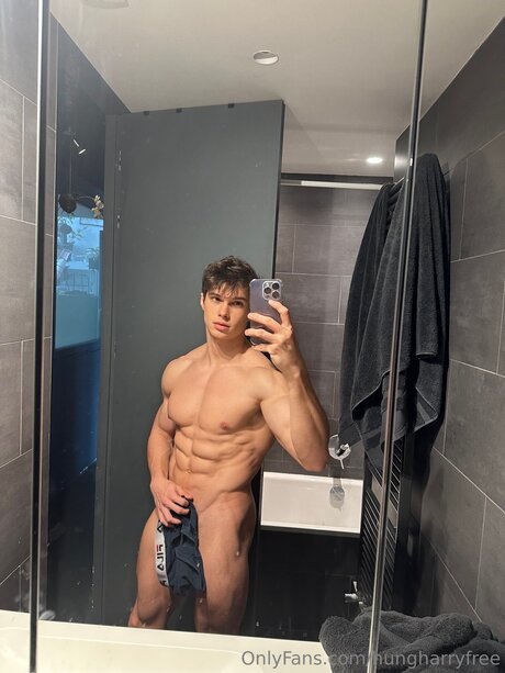 Hungharryfree star high quality archive