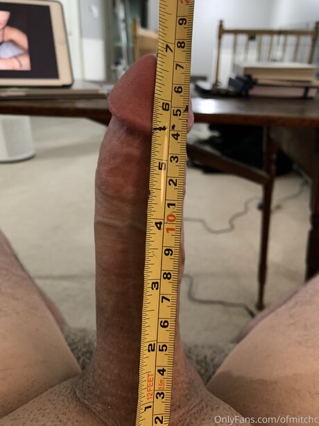 Ofmitchc pornstar perfect galleries