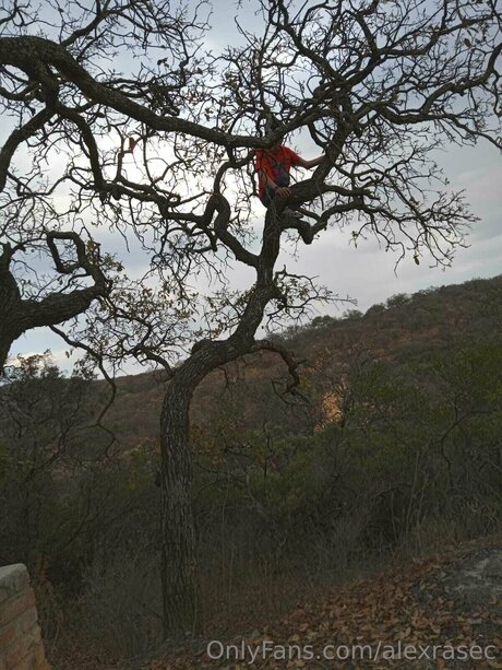 Alexrasec erotic actress galleries