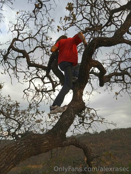 Alexrasec exclusive model galleries