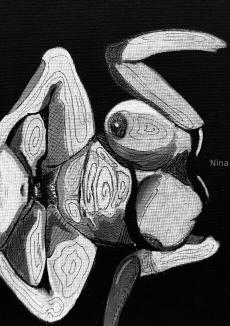 U464958276 pornstar art photo