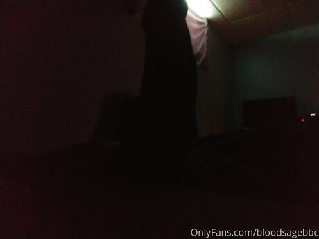 Bloodsagebbc hd pornstar galleries