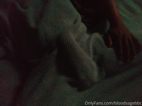 Bloodsagebbc sexy pornstar archive