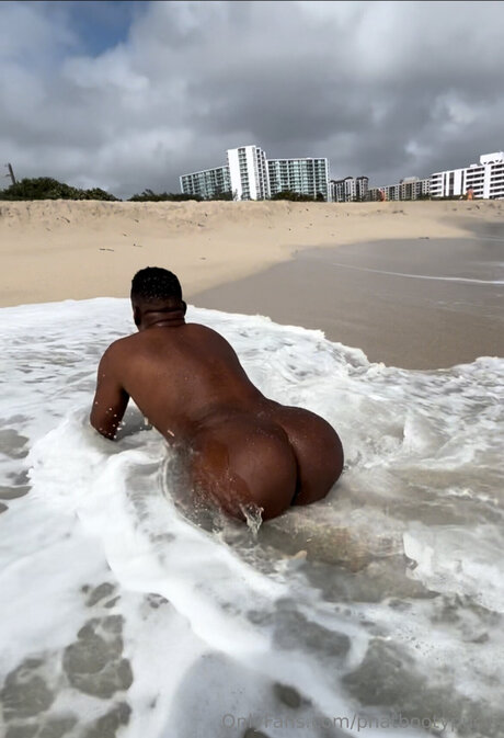 Phatbootypucci adult star pictures