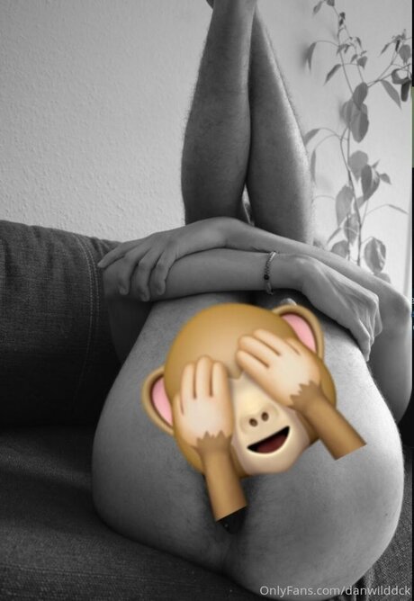 Danwilddck free model images