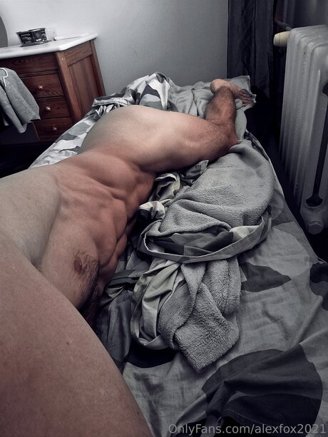 Alexfox2021 star art gallery