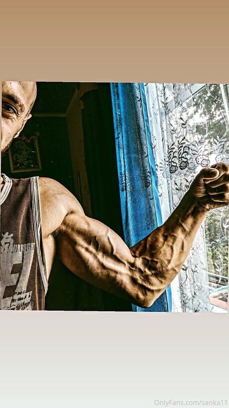 Alexfox2021 art pornstar img