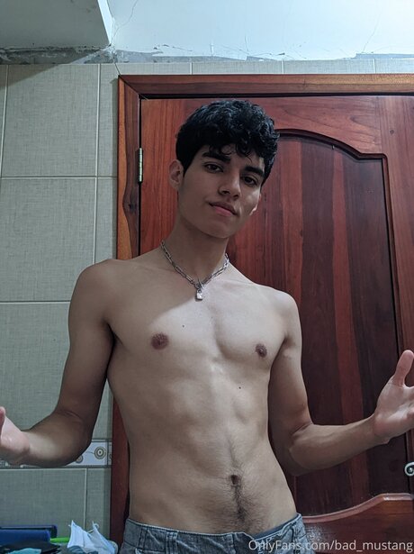 Bad Mustang Profile pic