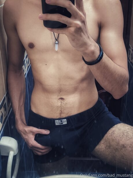 Bad Mustang erotic star picture