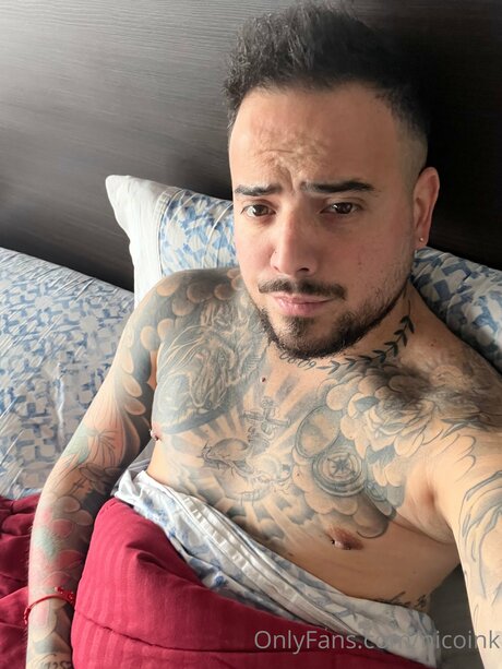 Nicoink nice pornstar gallery