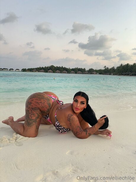 Elliechloe nude model pic