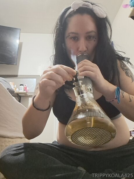 Trippykoala425 star nice pics