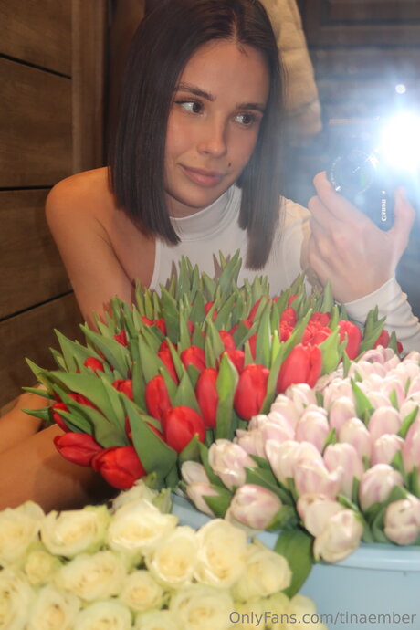 Tinaember pornographic star photo