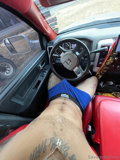 Savagebullxxxfree best pornstar archive