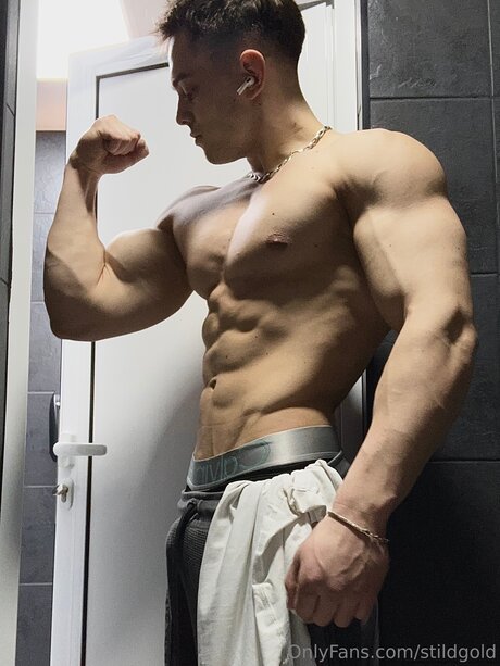 Stildgold nude model img