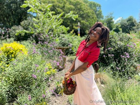 Carpedaem star top images