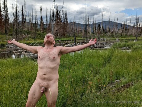 Bbbranden star pornographic gallery