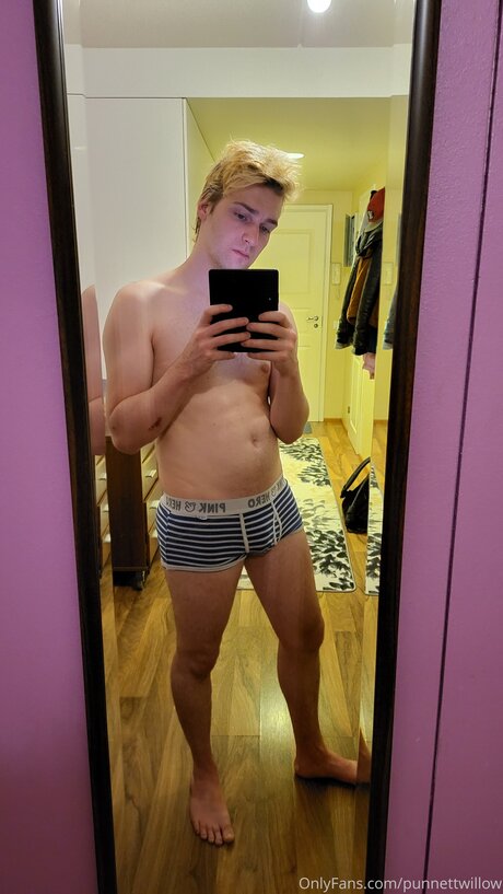 Punnettwillow pornstar top picture