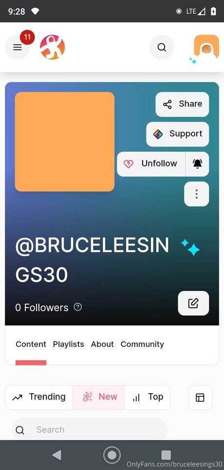 Bruceleesings30 model beautiful gallery