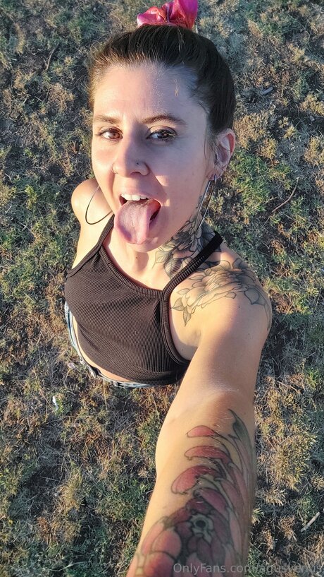 Agusvenus star picture