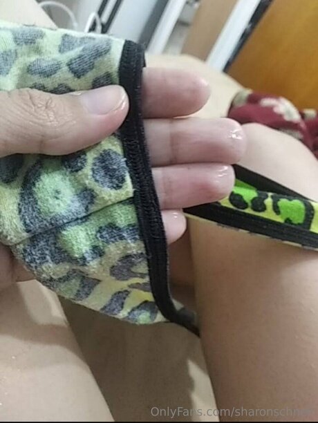 Sharonschneii exclusive star img