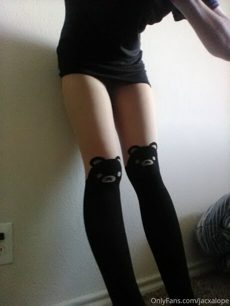 Jacxalope star pretty photos