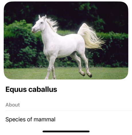 Excellentlylucky star nude images