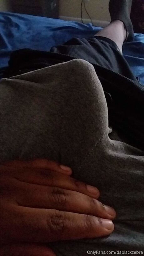 Dablackzebra art pornstar photo