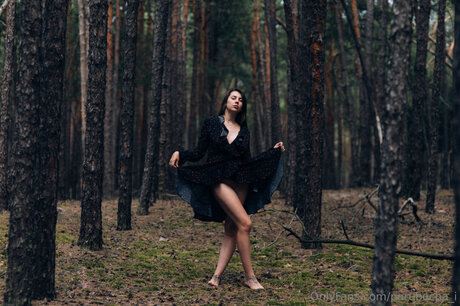 Parubocha I model top image