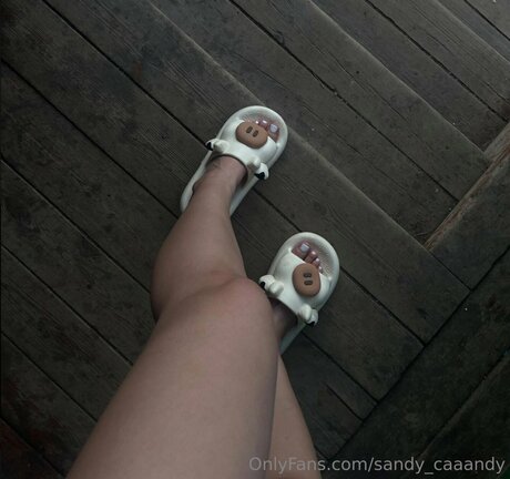 Sandy Caaandy exclusive star image