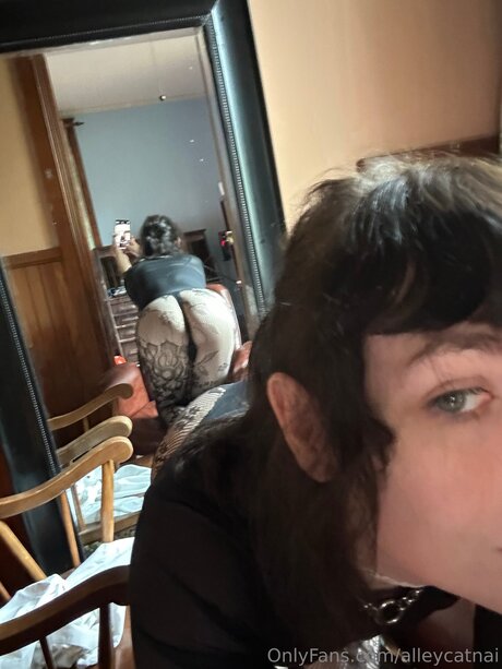 Alleycatnai high quality star galleries