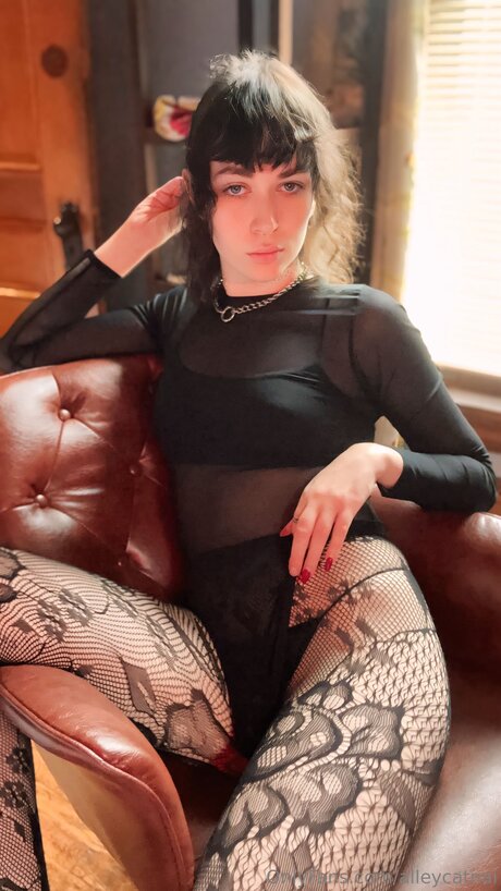 Alleycatnai star pornographic archive