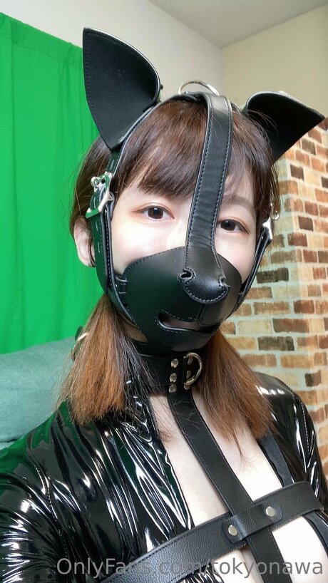 Tokyonawa art pornstar gallery