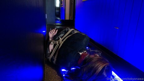 Tokyonawa free pornstar photo