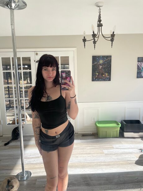 Thetattedfairy nice star pictures