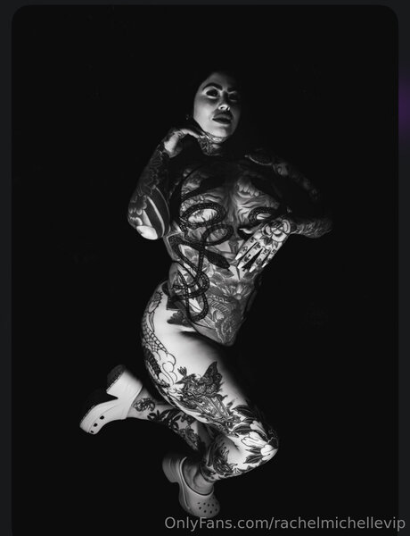 Rachelmichellevip nice actress photo