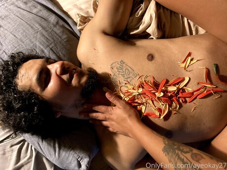 Ayeokay27 pornstar adult pics