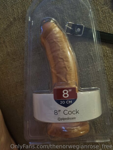 Thenorwegianrose Free erotic star image