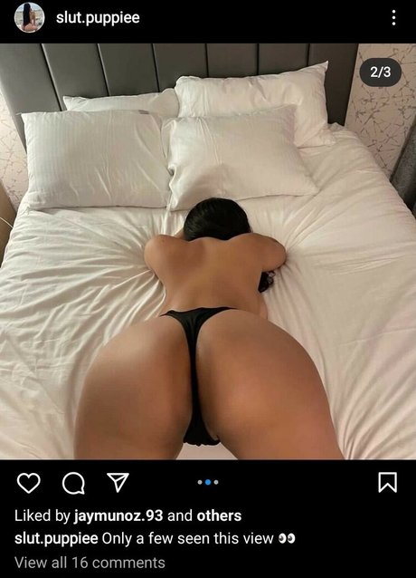 Slut Puppie pornstar naked pics