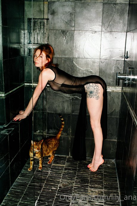 lily ana model porn galleries