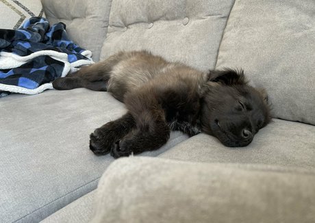 Summerreese model porn picture