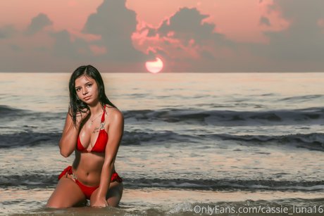 Cassie Luna naked model photos