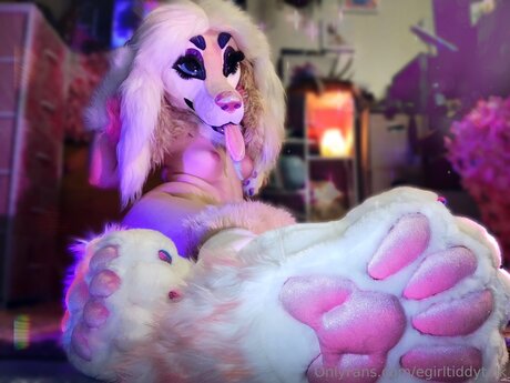 Egirltiddytalk xxx pornstar image