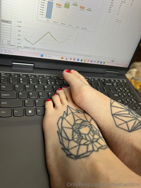 Redfeetwildink star free img