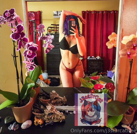 J3st3rcatfree pornstar top photo