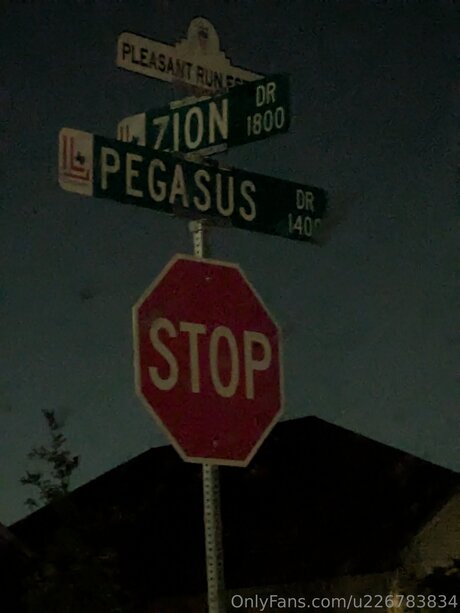 Pegasus Adrienne naked pornstar images