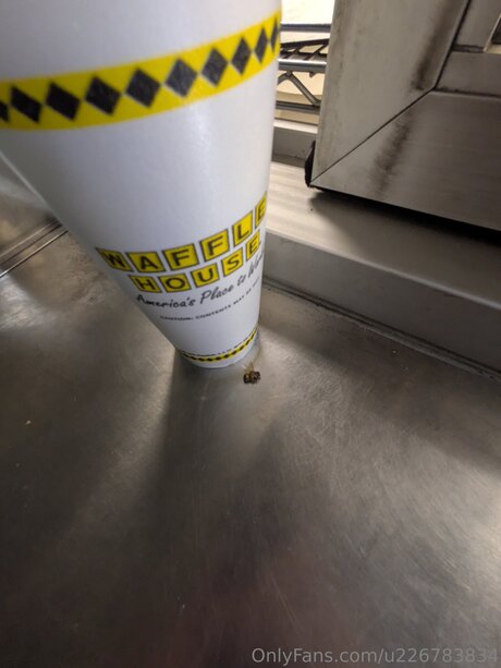 Pegasus Adrienne pornstar nude pictures