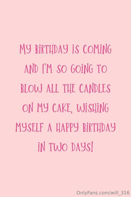 Will 316 model art photos