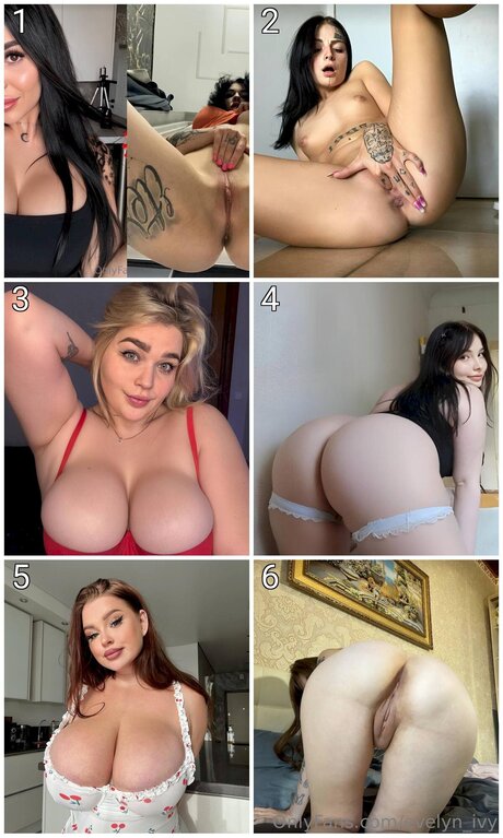 Evelyn Ivy pornographic actress galleries